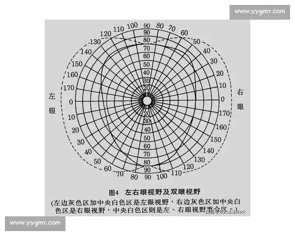 电竞视野控制技巧与战术分析:如何在比赛中掌控视野优势 电竞视野控制技巧与战术分析:如何在比赛中掌控视野优势